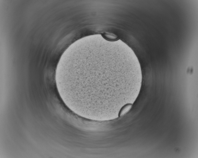 X0000113940044200910231953