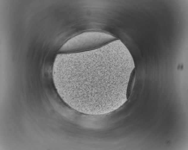 X0000113940045200910231953