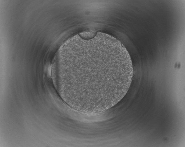 X0000113940046200910231953