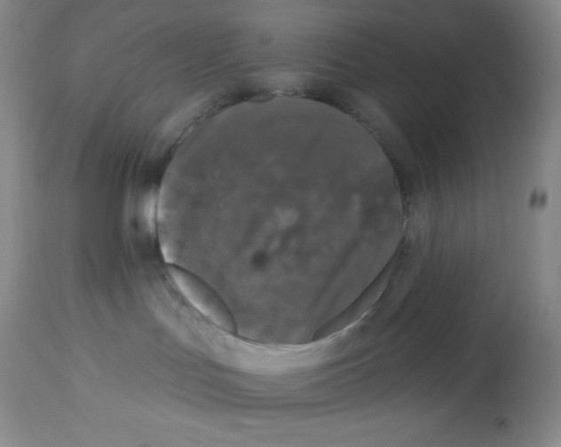 X0000113940047200910231953