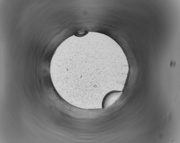 X0000113940048200910231953