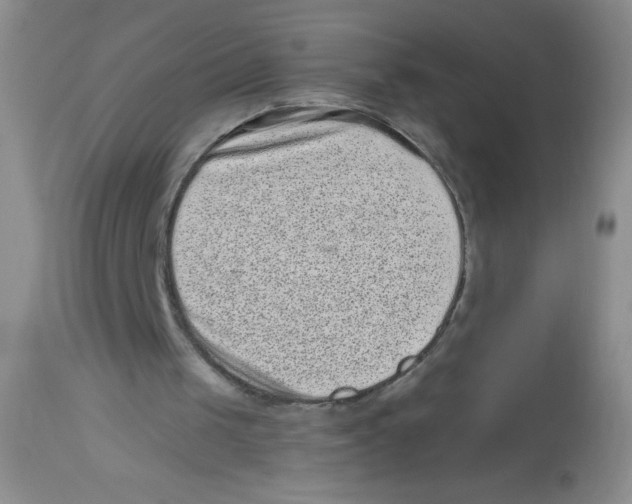 X0000113940049200910231953