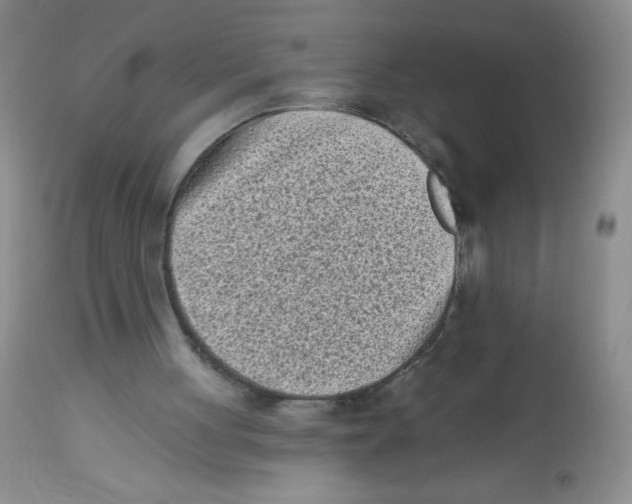 X0000113940051200910231953