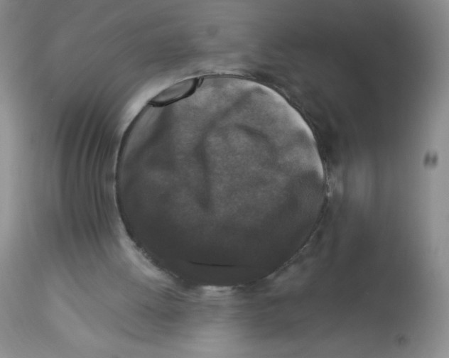 X0000113940052200910231953