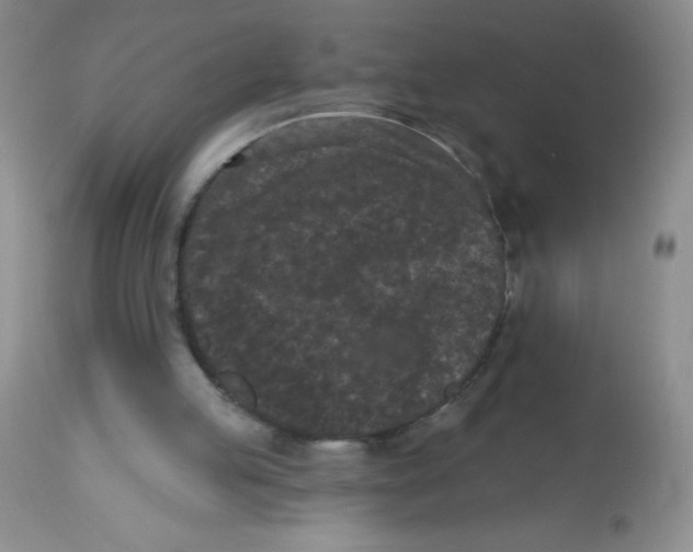X0000113940053200910231953