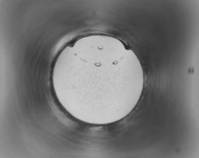 X0000113940054200910231953