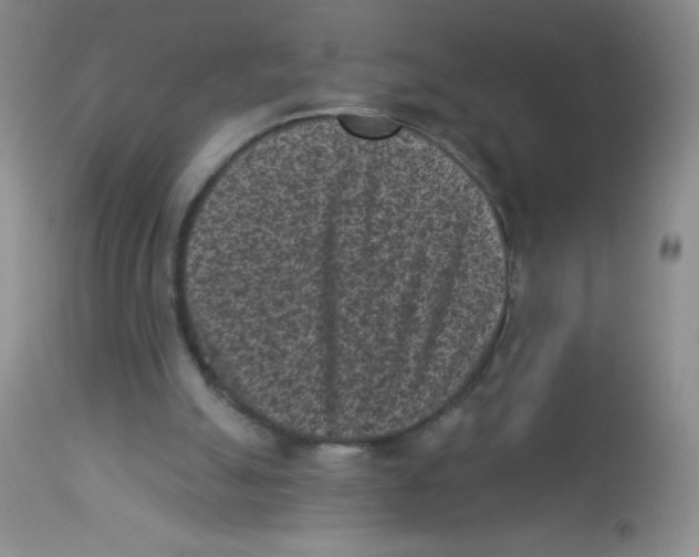 X0000113940055200910231953