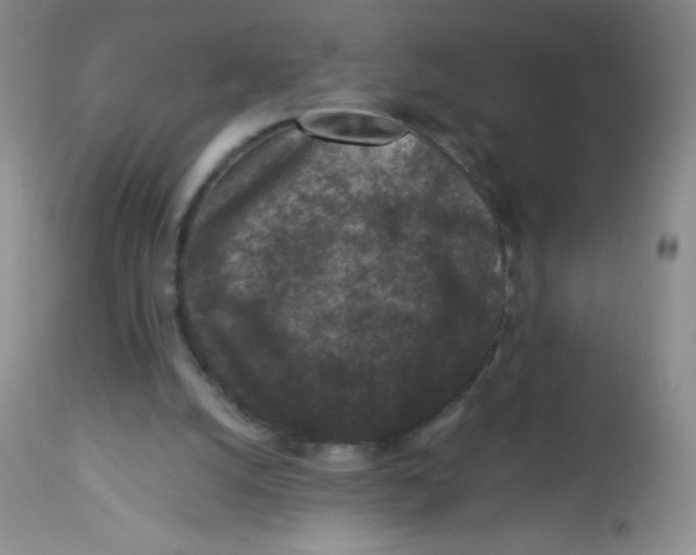 X0000113940056200910231953