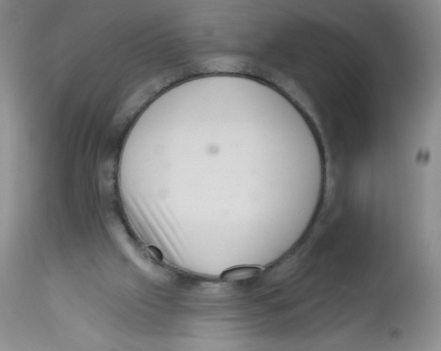 X0000113940057200910231953