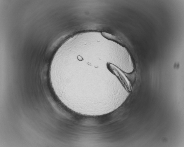 X0000113940058200910231953