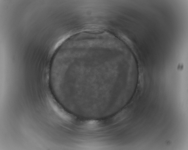X0000113940059200910231953