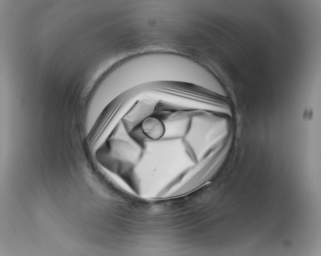 X0000113940060200910231953