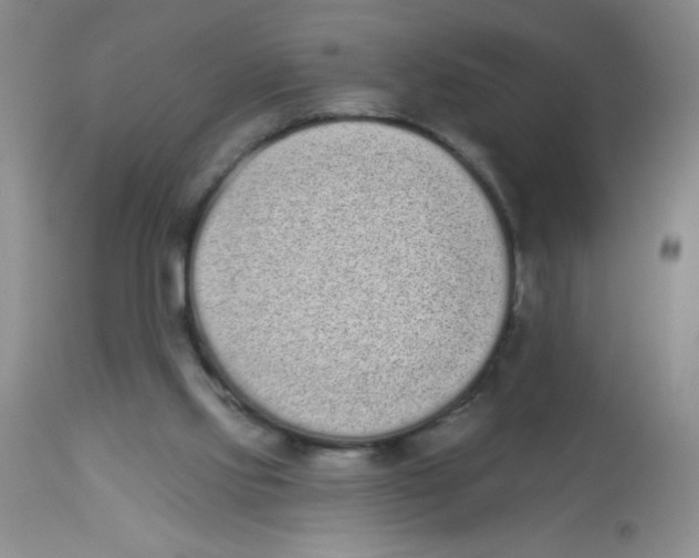 X0000113940061200910231953