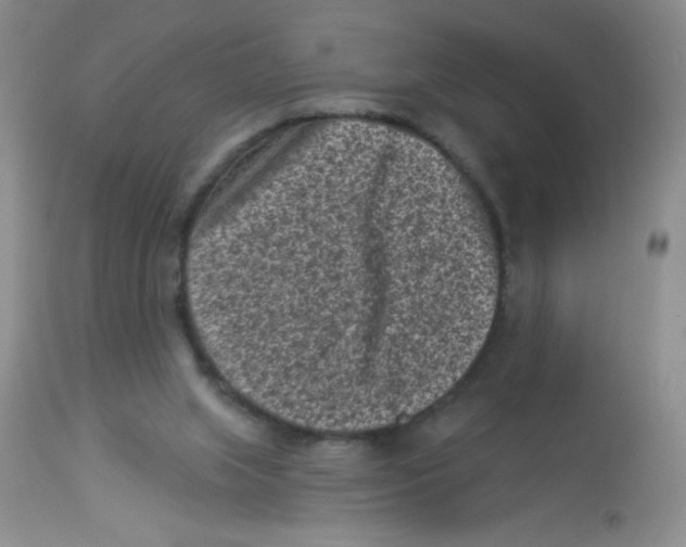 X0000113940063200910231953