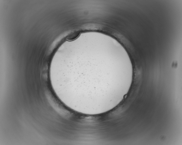 X0000113940064200910231953