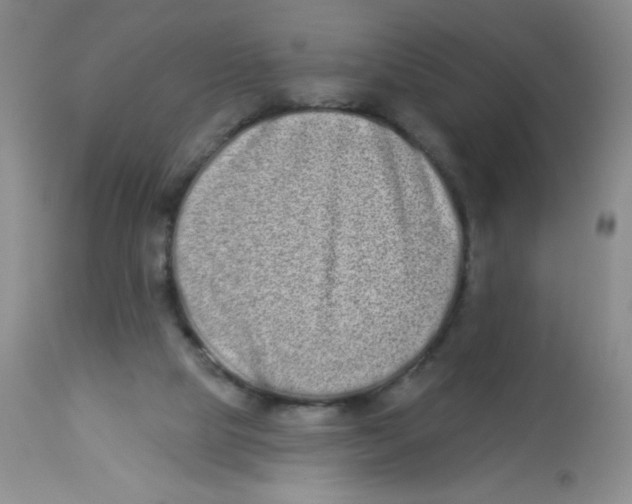 X0000113940065200910231953