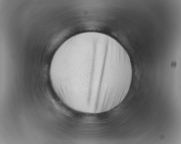 X0000113940066200910231953
