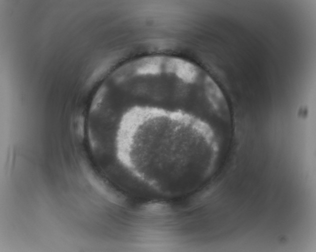 X0000113940067200910231953