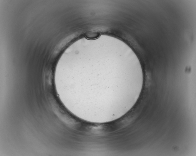 X0000113940068200910231953