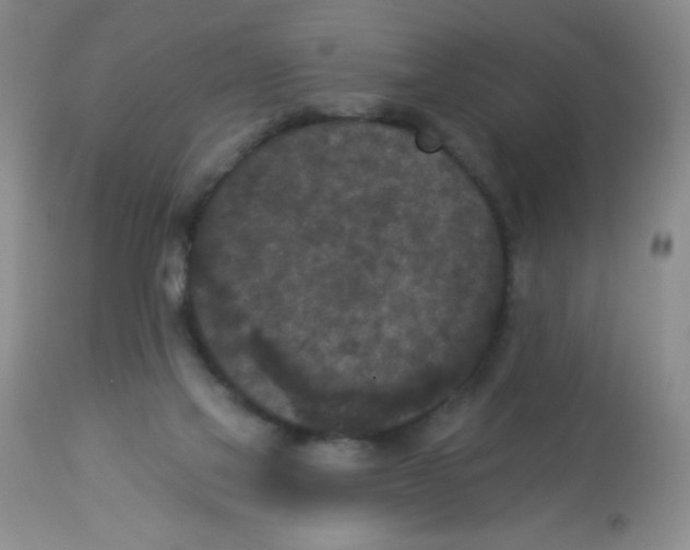 X0000113940069200910231953