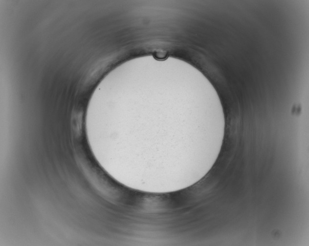 X0000113940070200910231953