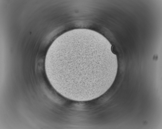 X0000113940071200910231953