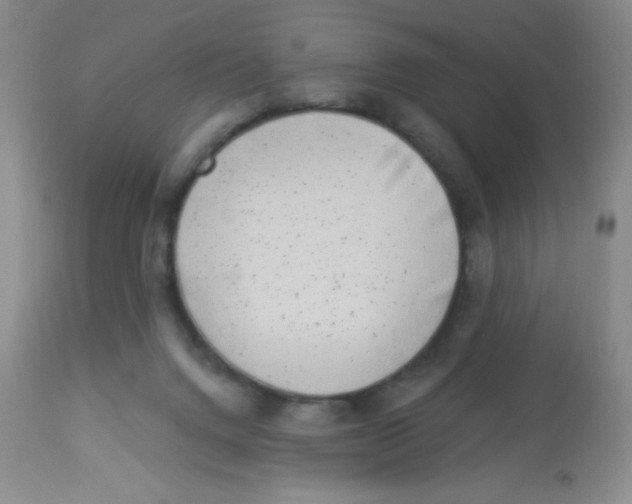 X0000113940072200910231953