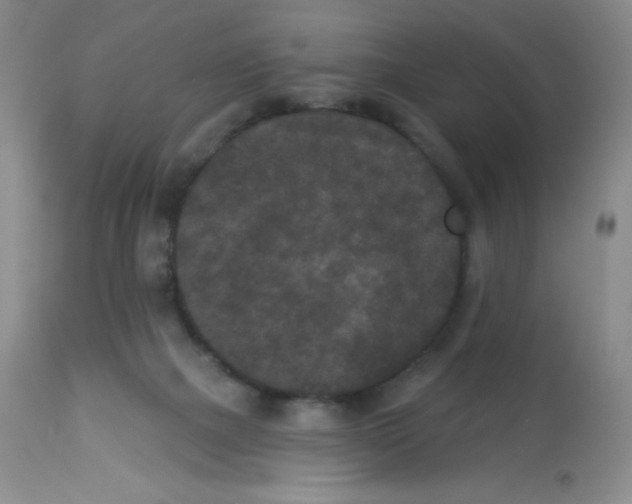 X0000113940073200910231953