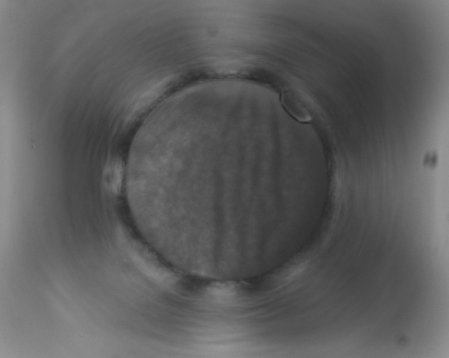X0000113940076200910231953