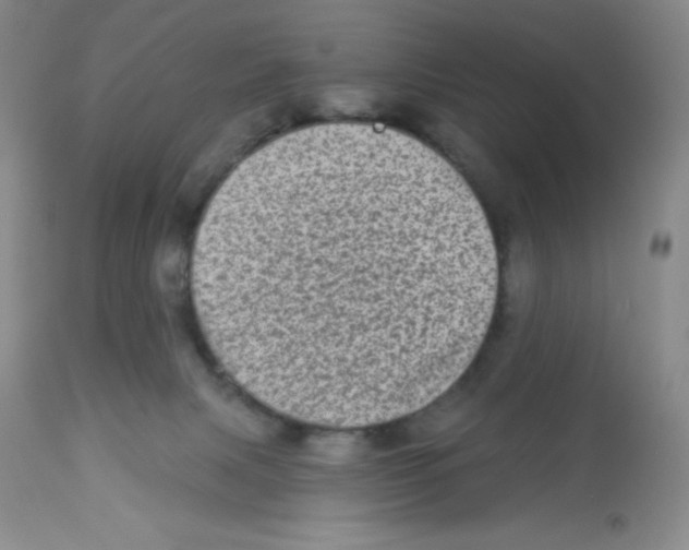 X0000113940079200910231953