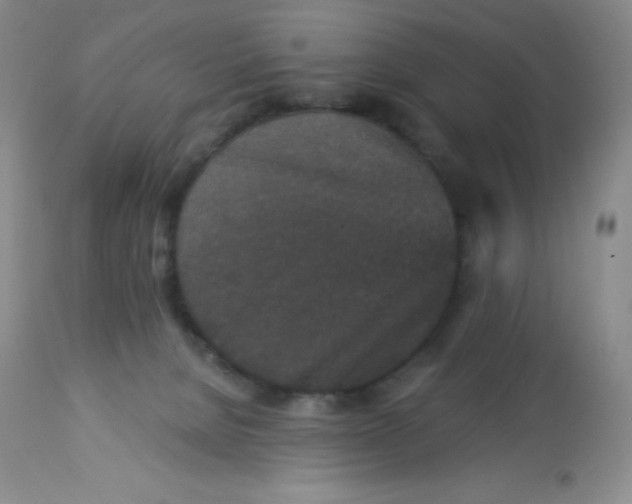 X0000113940080200910231953
