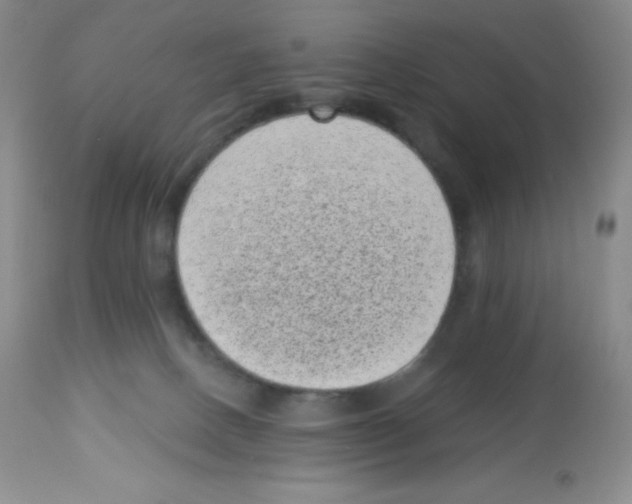 X0000113940082200910231953