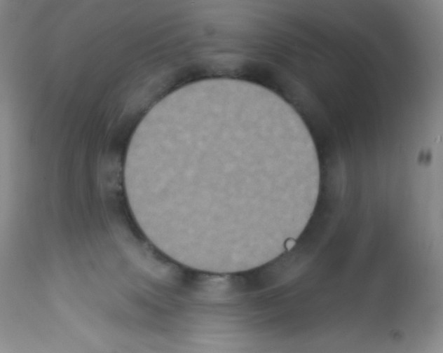 X0000113940083200910231953