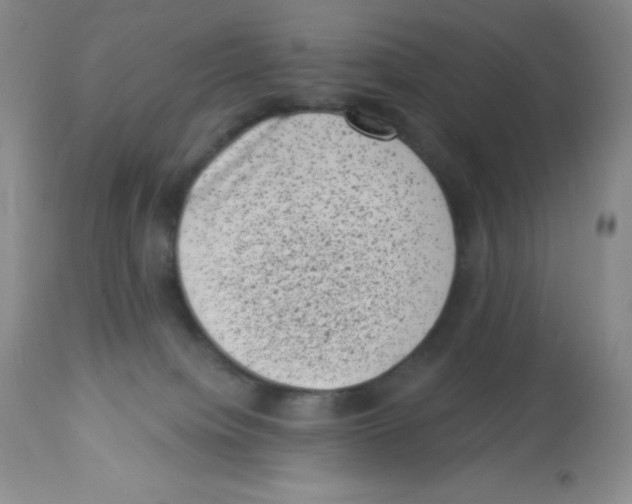X0000113940084200910231953