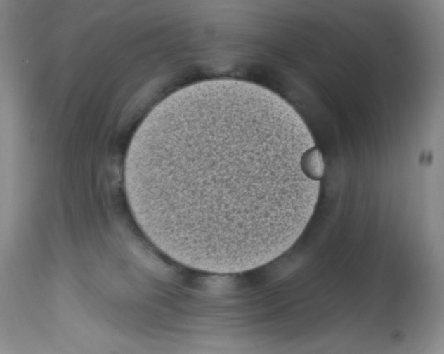 X0000113940085200910231953
