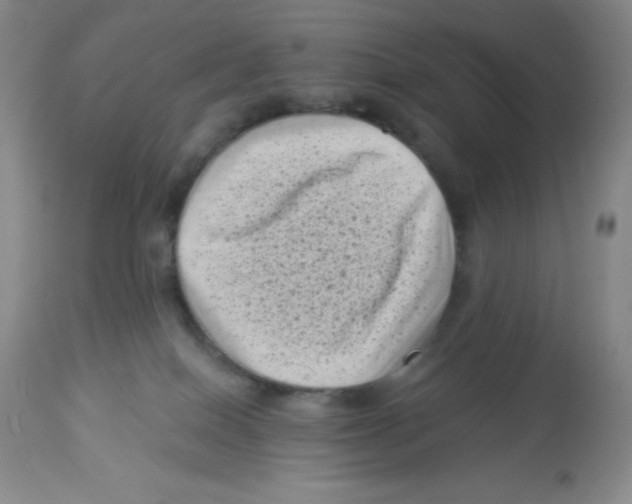 X0000113940086200910231953