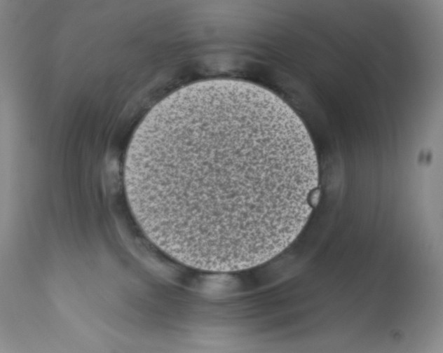 X0000113940087200910231953