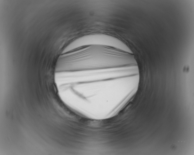 X0000113940088200910231953