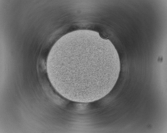 X0000113940089200910231953