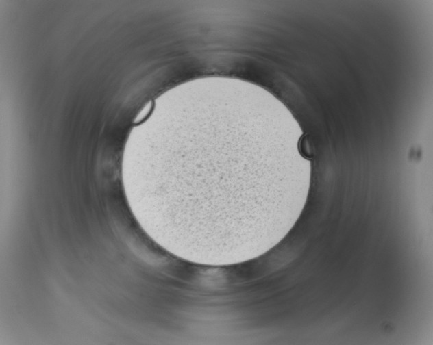 X0000113940091200910231953