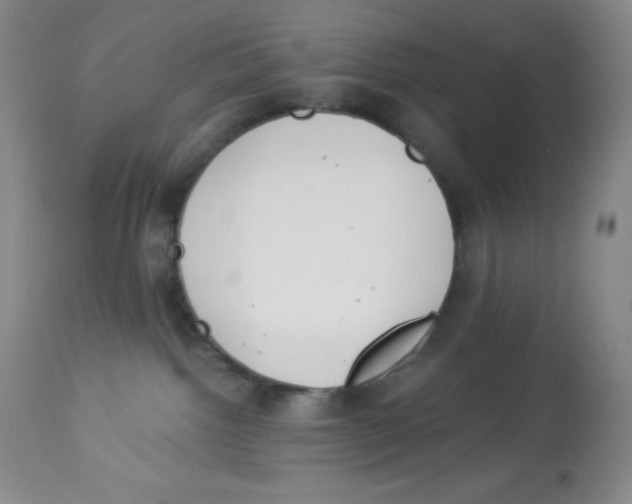 X0000113940092200910231953