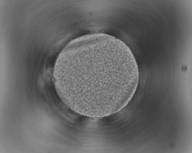 X0000113940093200910231953