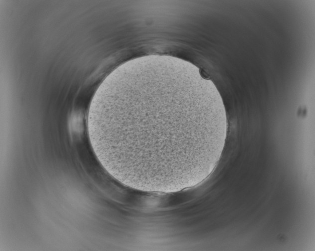 X0000113940094200910231953