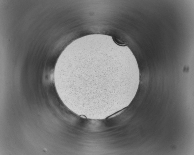 X0000113940095200910231953