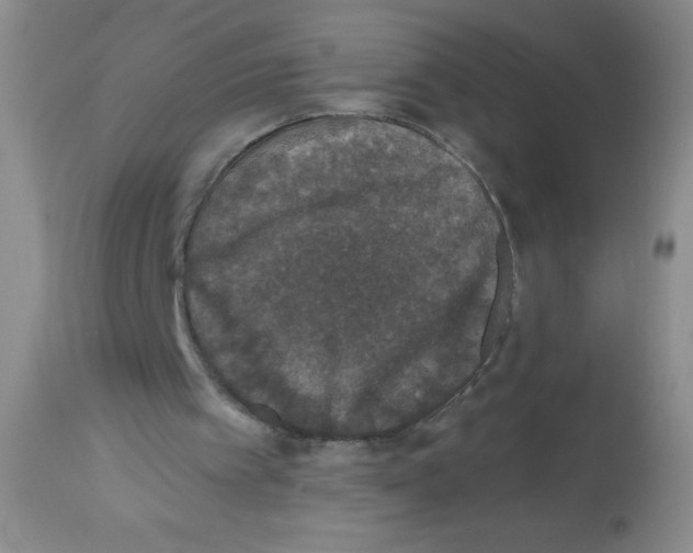 X0000113940097200910231953