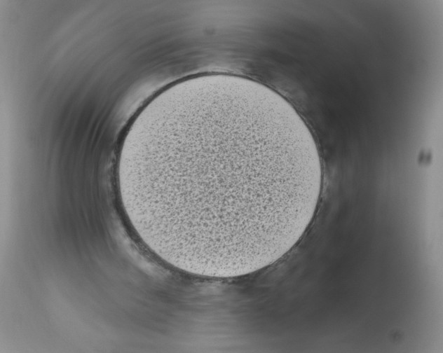 X0000113940098200910231953