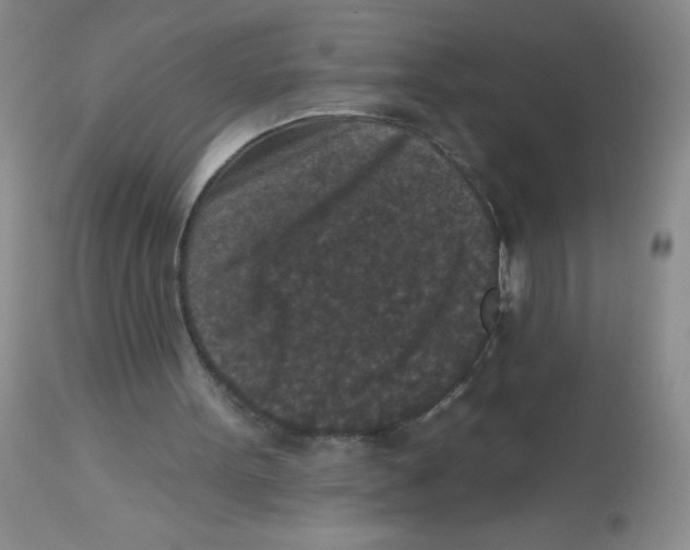 X0000113940099200910231953