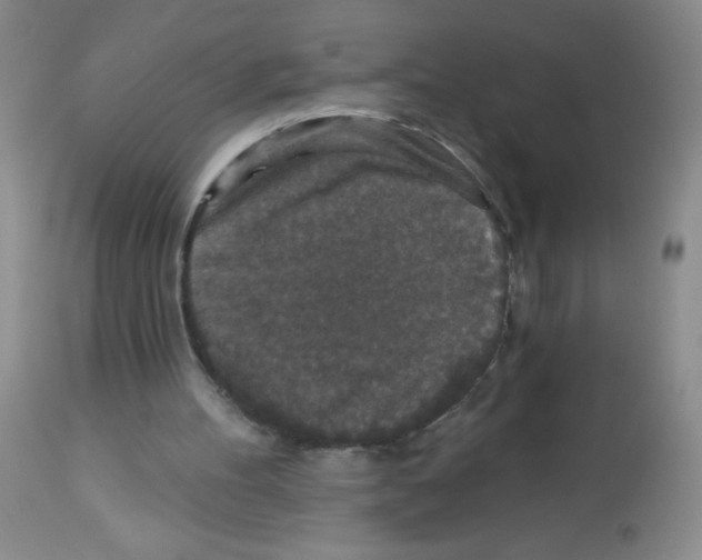 X0000113940100200910231953