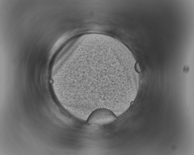 X0000113940102200910231953