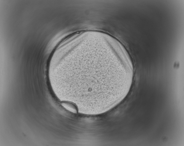 X0000113940103200910231953